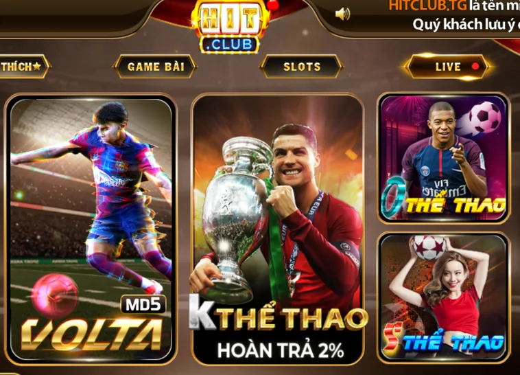 Danh Sách Các Môn Thể Thao HitClub Đỉnh Cao Cá Cược Bóng Đá